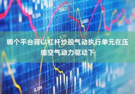 哪个平台可以杠杆炒股气动执行单元在压缩空气动力驱动下