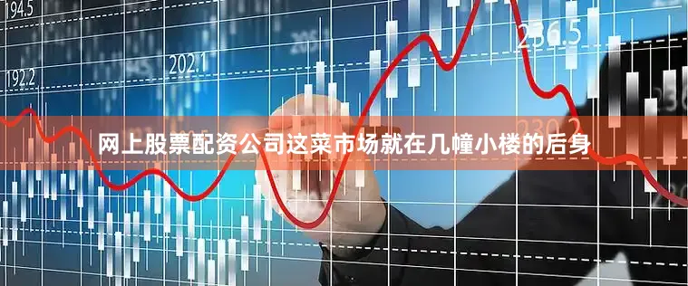 网上股票配资公司这菜市场就在几幢小楼的后身